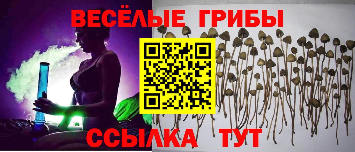 Псилоцибиновые грибы MAGIC MUSHROOMS Бахчисарай
