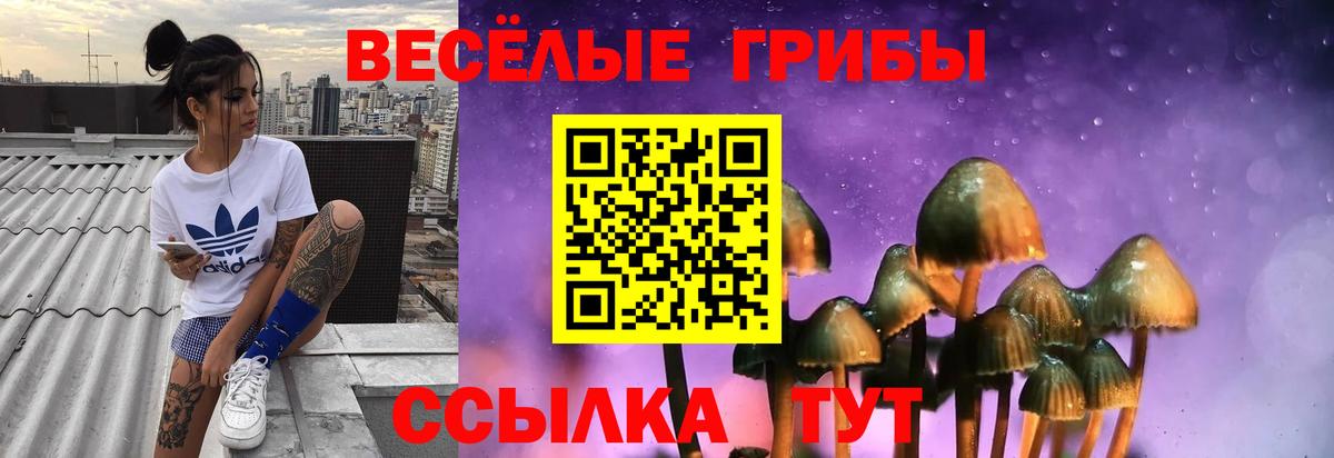 Галлюциногенные грибы Magic Shrooms  Вход с VPN  Бахчисарай 